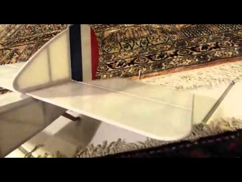 Sopwith Pup D4170; von Höllein / Grüner