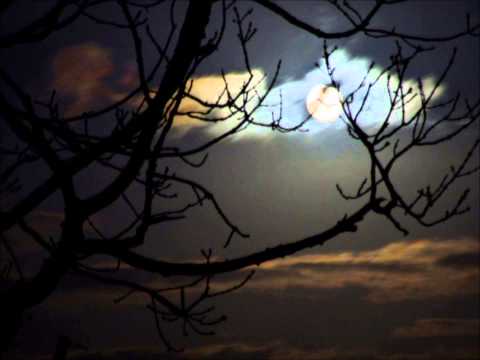 Furious Vs  Kokobloko - Pizdetz