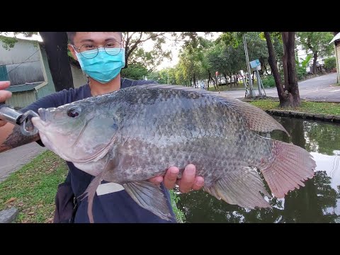 好想釣魚