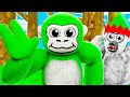 All Jimmy Videos Combined Compilation Pt3