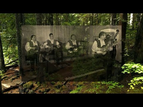 Najbolji hrvatski tamburaši ~ OJ JELO JELO JELENO ♫ AOJ JELO JELENA