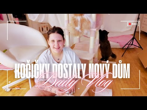 DAILY VLOG: po roce bydlení jsem si udělala wifi & stavím kočičkám nové škrabadlo | SugarDenny