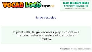 Video thumbnail for large vacuoles