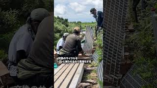 登山道は誰が守るのか　管理あいまいで進む荒廃、登山者が動き出した #shorts