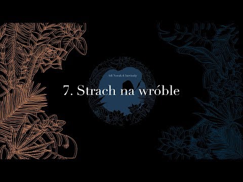 Adi Nowak & barvinsky - Strach na wróble