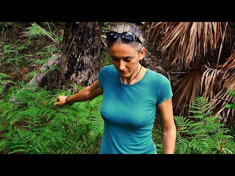 AWARE - REISE IN DAS BEWUSSTSEIN | Trailer deutsch german [HD]