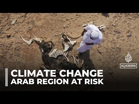Arab region warming at record pace, WMO warns of deadly extremes