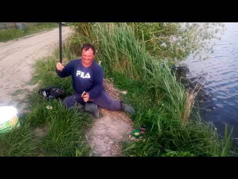 TOT cum se prinde CARAS pe Lacul Boteni 1 partea 3 la mamaliga