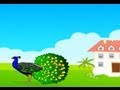 Peacock Bird - Nursery Rhymes in Hindi | Animated Songs Playlist for Chi...