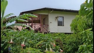 preview picture of video 'Vakantiewoning Suriname, Paramaribo, Prinsessestraat E. Stagewoning, Huurwoning, Holiday Home'