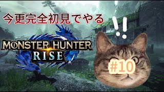 ［ライズ］上位クエまであと少し