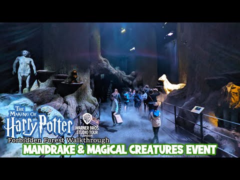 Forbidden Forest | Mandrake & Magical Creatures Event Harry Potter Studio Tour (July 2022) [4K]