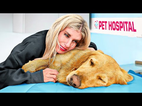 Birth To Death of My Dog *emotional*