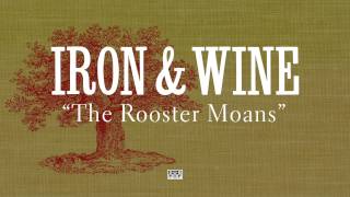 Iron &amp; Wine - The Rooster Moans