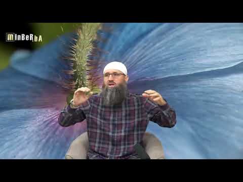 Obavljanje namaza žene u kući bez čarapa - Elvedin Pezić