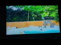AFV Kid Gets Pushed By Sled Cries And Says I Hate You