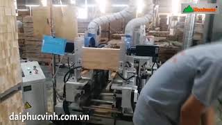 Woodmaster. MÁY CẮT PHAY 2 Đầu Tự động công nghệ mới chống tưa hiệu quả