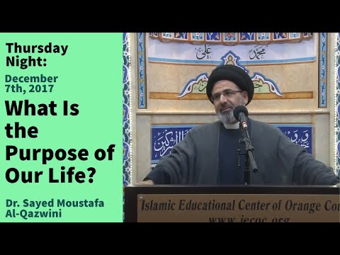 What Is the Purpose of Our Life?