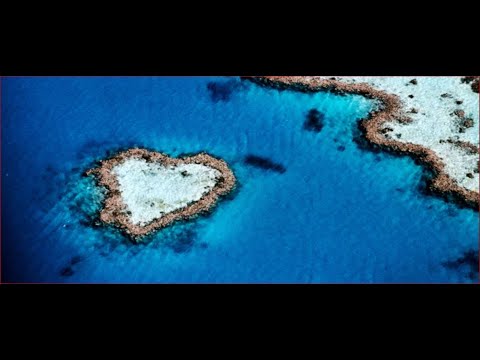 The Whitsundays | A Cinematic Story