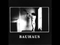 Bauhaus- Crowds 