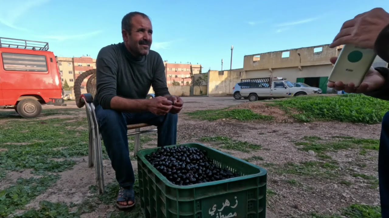 Prix Huile d'olive 2023 ثمن الزيت و الزيتون