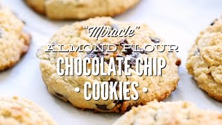 paleo cookies almond flour