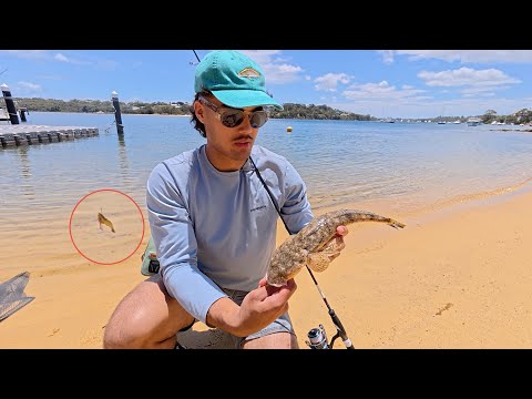 Fishing For Swan River FLATHEAD With Ultra Light Gear!