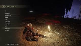 [エルデンリング]  ボス戦と探索 #2 [PS4]