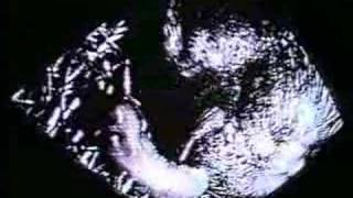 Filme Caseiro Número Um (Petter Baiestorf, 2001)