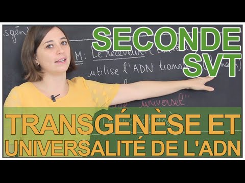 Transgenesis and Universality of DNA - SVT Seconde - Les Bons Profs