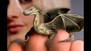 The Sundays- When I&#39;m thinking about you