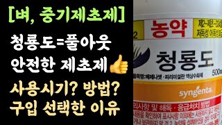 벼, 중기제초제, 청룡도 액상수화제???? 안전+효과???? 사용시기 및 방법? 구입선택한 이유?