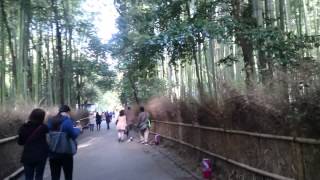 preview picture of video 'The trip to Greatness - Arashiyama, Kyoto, Japan'