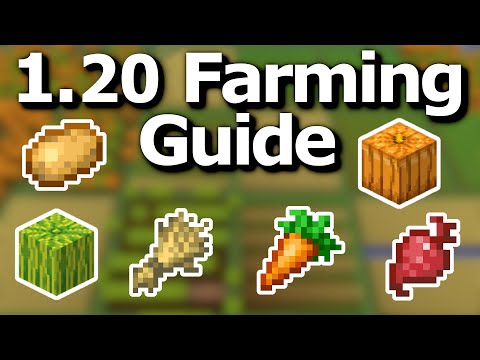 The Ultimate Minecraft 1.20 Crop Farming Guide - Tips and Tricks to Efficiently Grow Food
