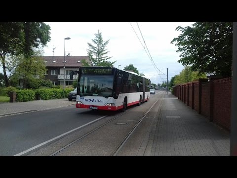 [Vorbeifahrt] Dreier Busse [Hst. Döringhoff] auf dem SEV der Linie U43