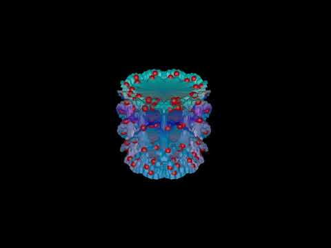 Calabi-Yau manifold animations #houdini #vex