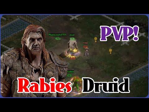 D2R I PVP as Rabies Poison Druid ! Hit and Run Strategy I Diablo 2: Resurrected