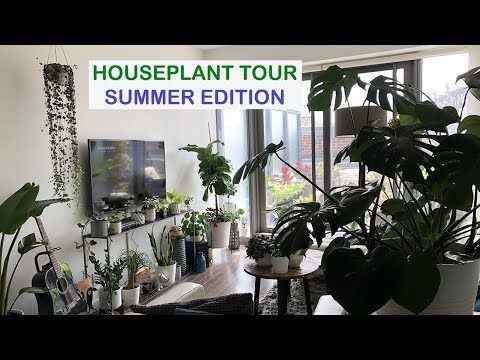 HOUSEPLANT TOUR | SUMMER 2018 | Crazy Plant Guy