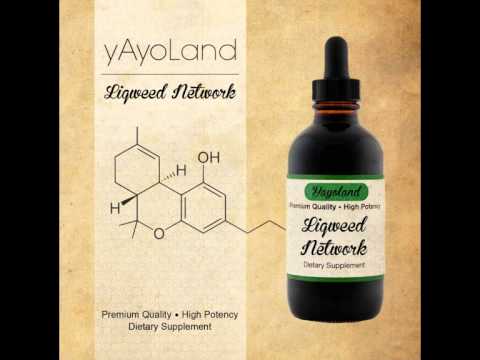 yAyoLand - Network Step