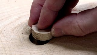 Make perfect plugs to cover defects in wood