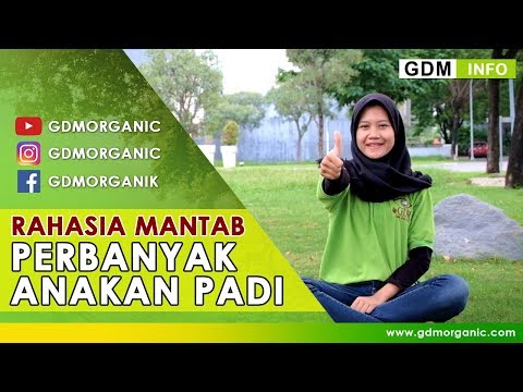 Anak penis kecil 7 tahun Ungkapan tentang impotensi