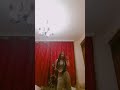 Hot Habesha Habshatiktok Ethiopia Subscribe
