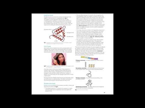 Edexcel Biology B AS Level 2015 Revision: Proteins