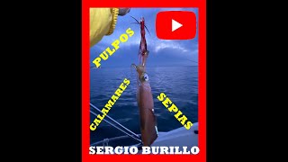 🐙Pescando cefalópodos🦑