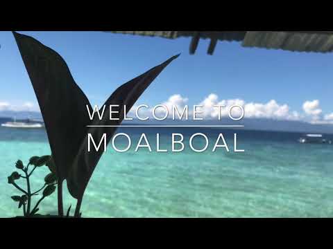 Sardines, Turtles, and Sunset in Moalboal