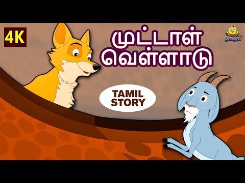 முட்டாள் வெள்ளாடு - The Foolish Goat | Bedtime Stories  | Tamil Fairy Tales | Tamil Stories
