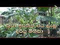 Department Of Agriculture Sri Lanka Krushi Tv Channel කුඩා ඉඩකිත් ජය ලැ�