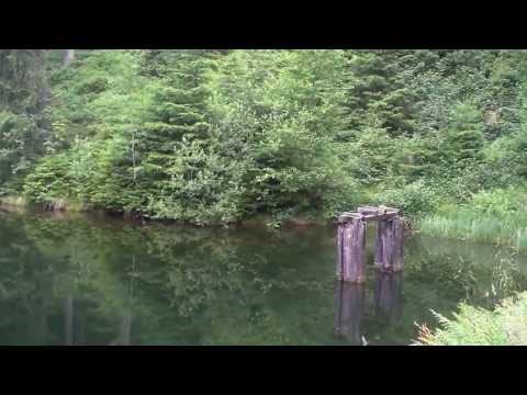 Kreuzbacher Teich Silbernaal - Wildemann - Bad Grund