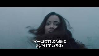 Trailer Preview Image