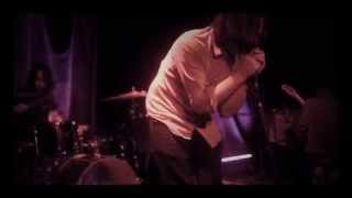 The Telescopes - The Living Things, live @ Kabinet Múz, Brno, 2. 12. 2015